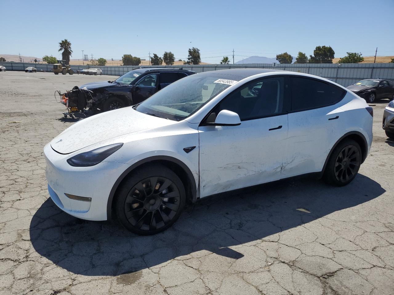 TESLA MODEL Y 2024