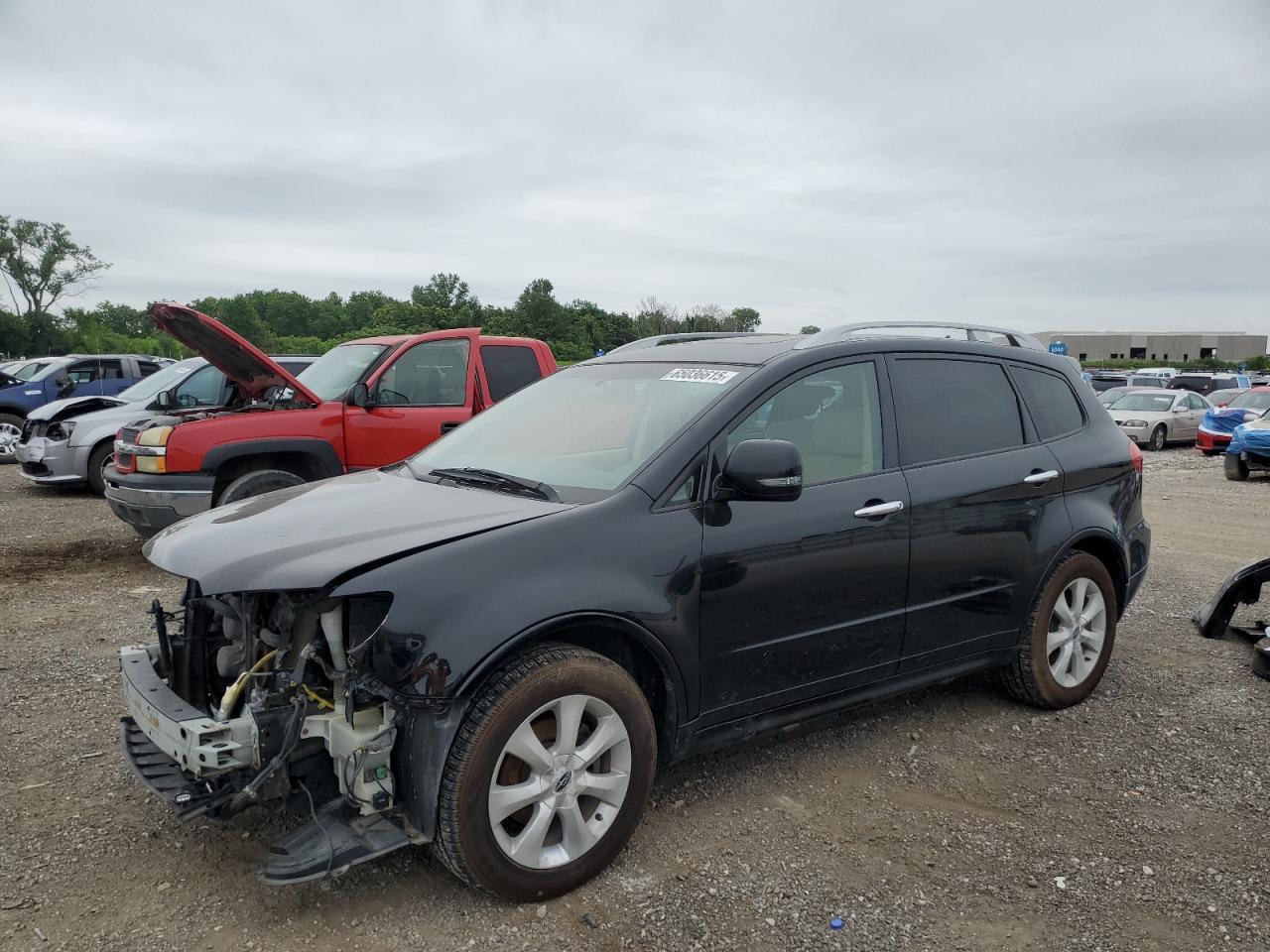 SUBARU TRIBECA LI 2010