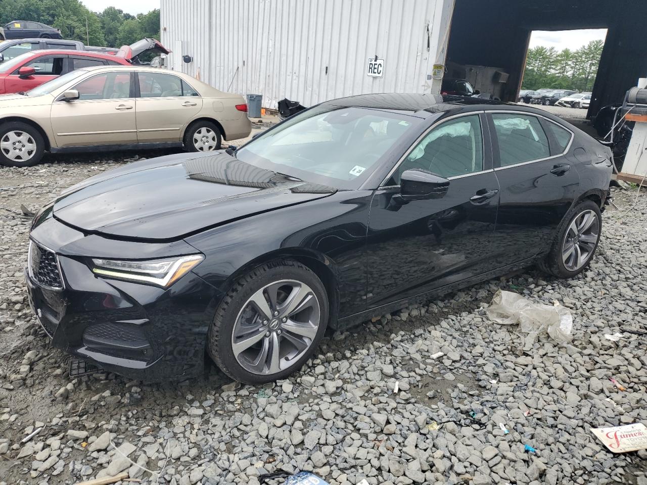 ACURA TLX ADVANC 2023