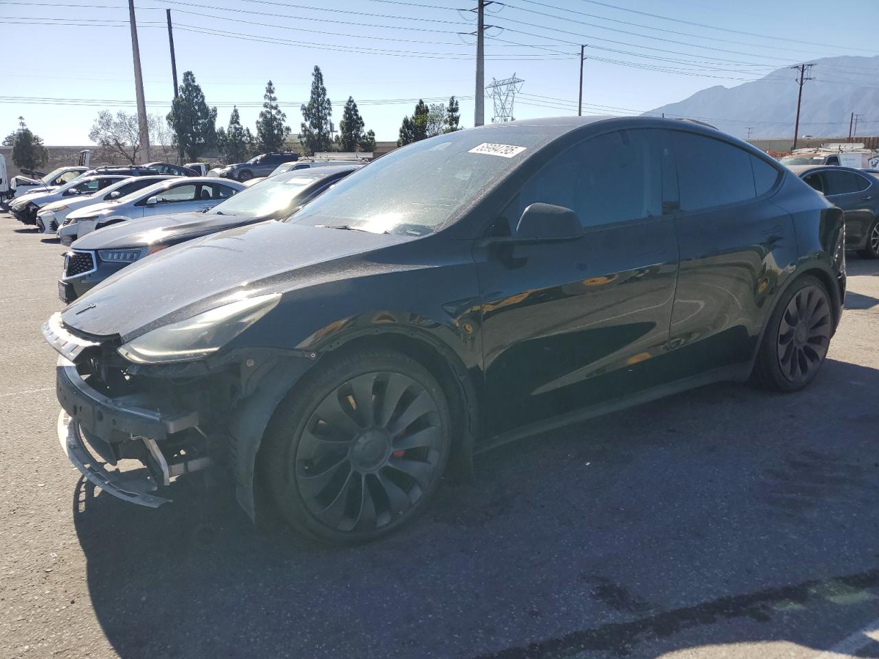 TESLA MODEL Y 2023