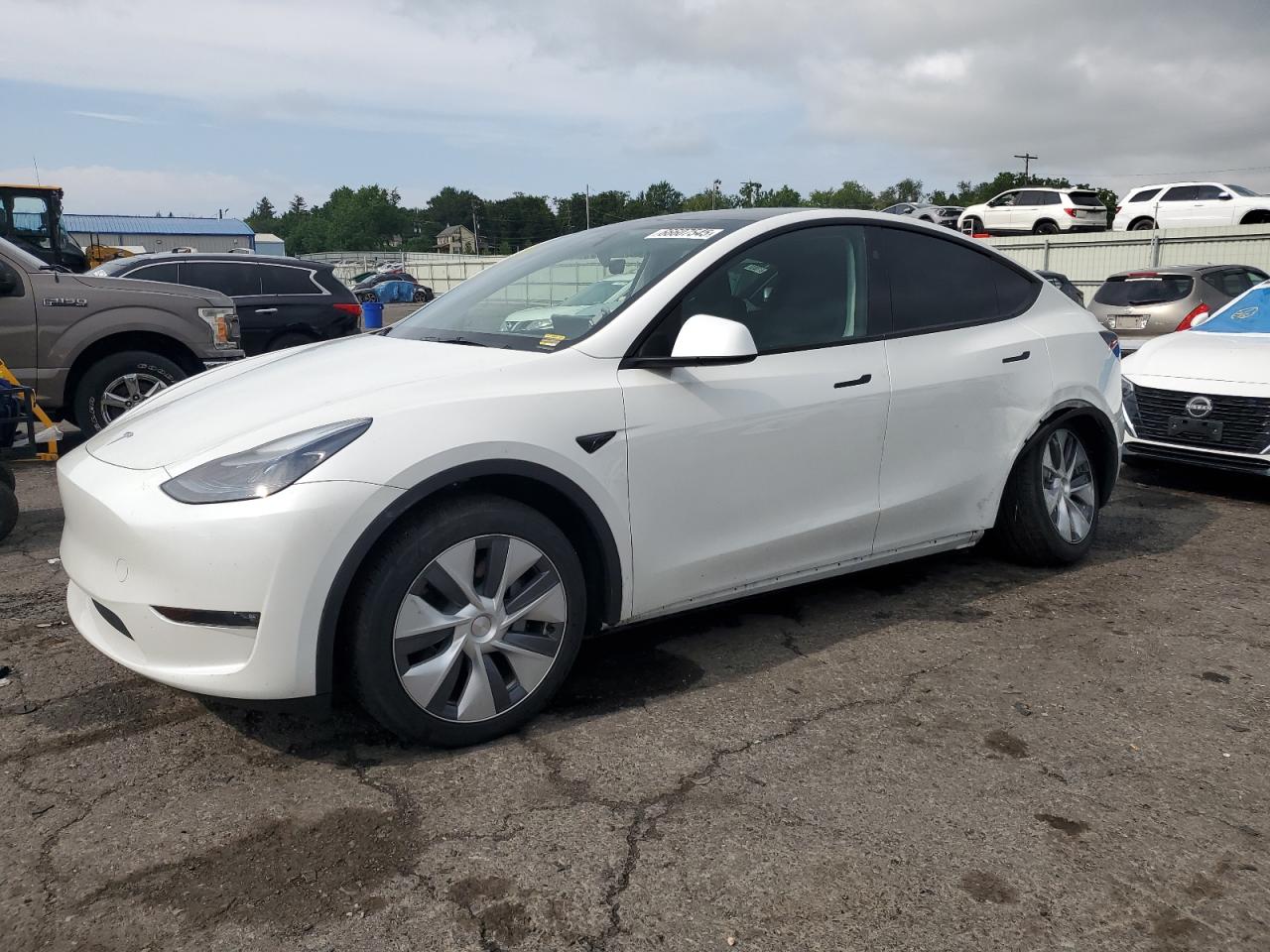 TESLA MODEL Y 2023