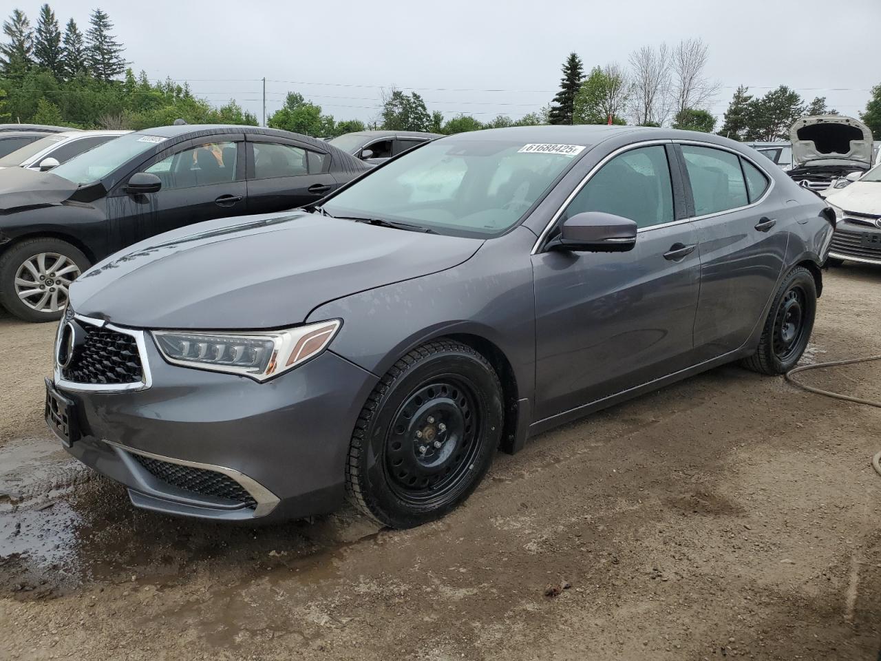 ACURA TLX TECHNO 2019