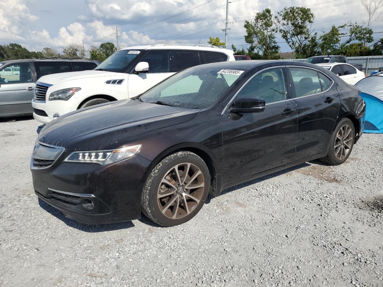 ACURA TLX ADVANC 2015