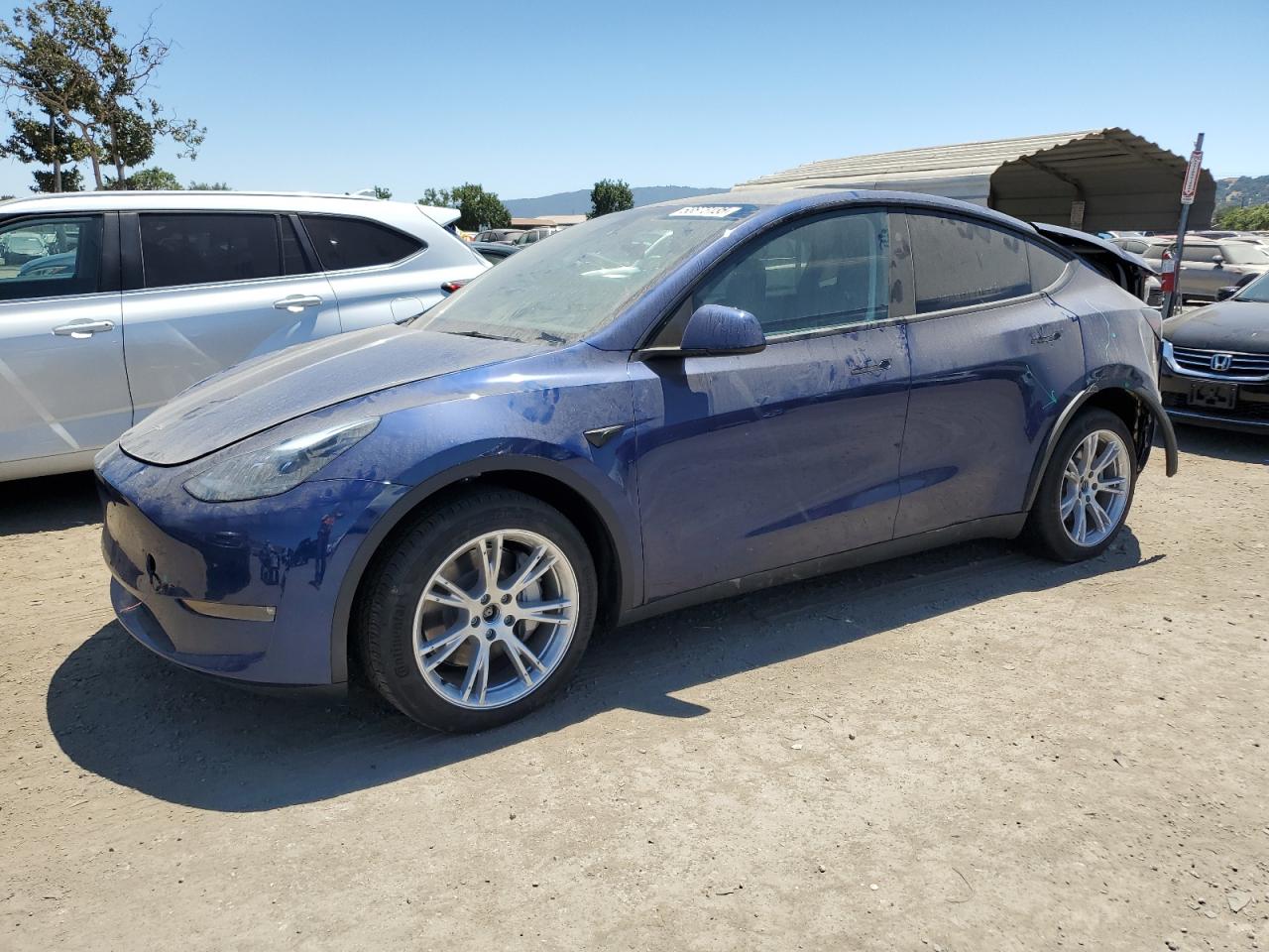 TESLA MODEL Y 2024