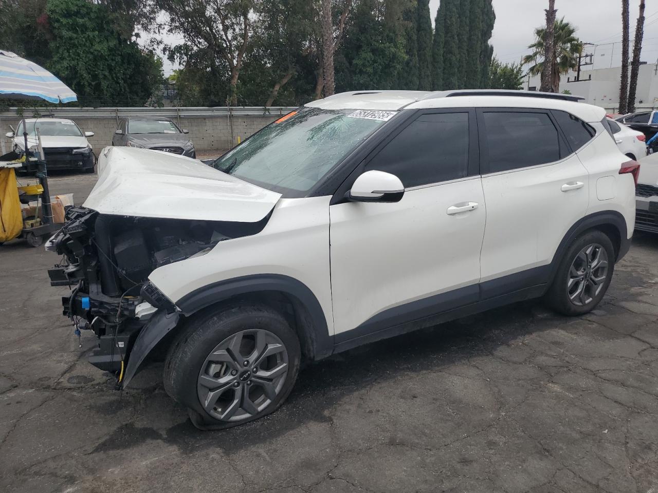 KIA SELTOS S 2024