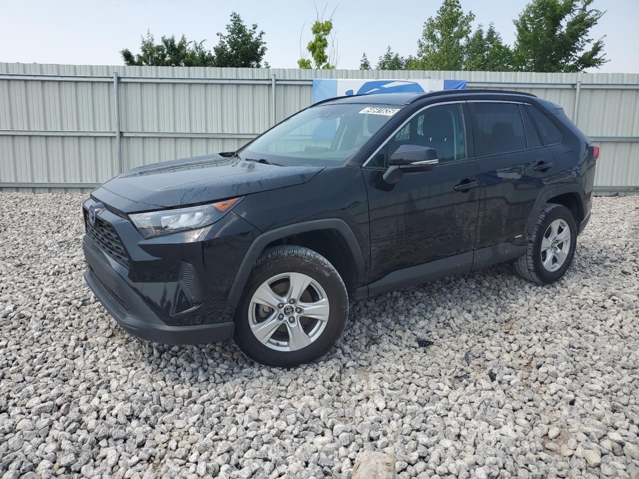 TOYOTA RAV4 LE 2019