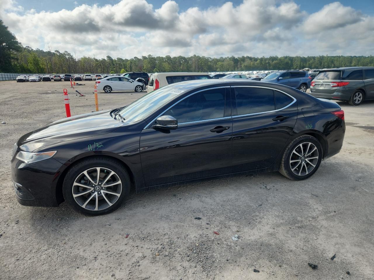 ACURA TLX ADVANC 2015
