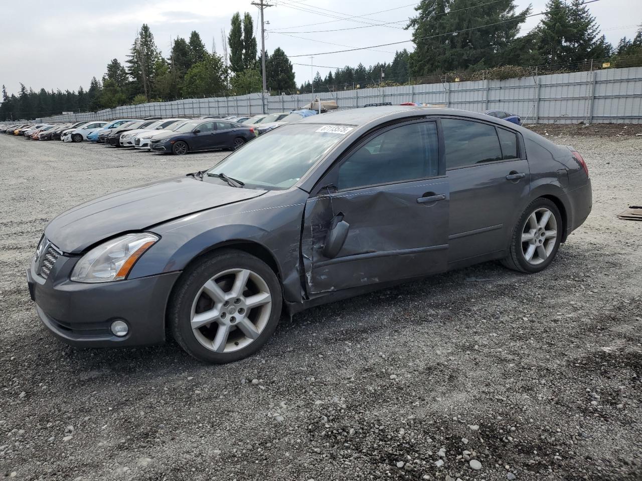 NISSAN MAXIMA 2005