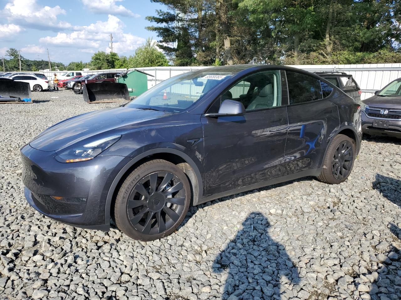 TESLA MODEL Y 2024