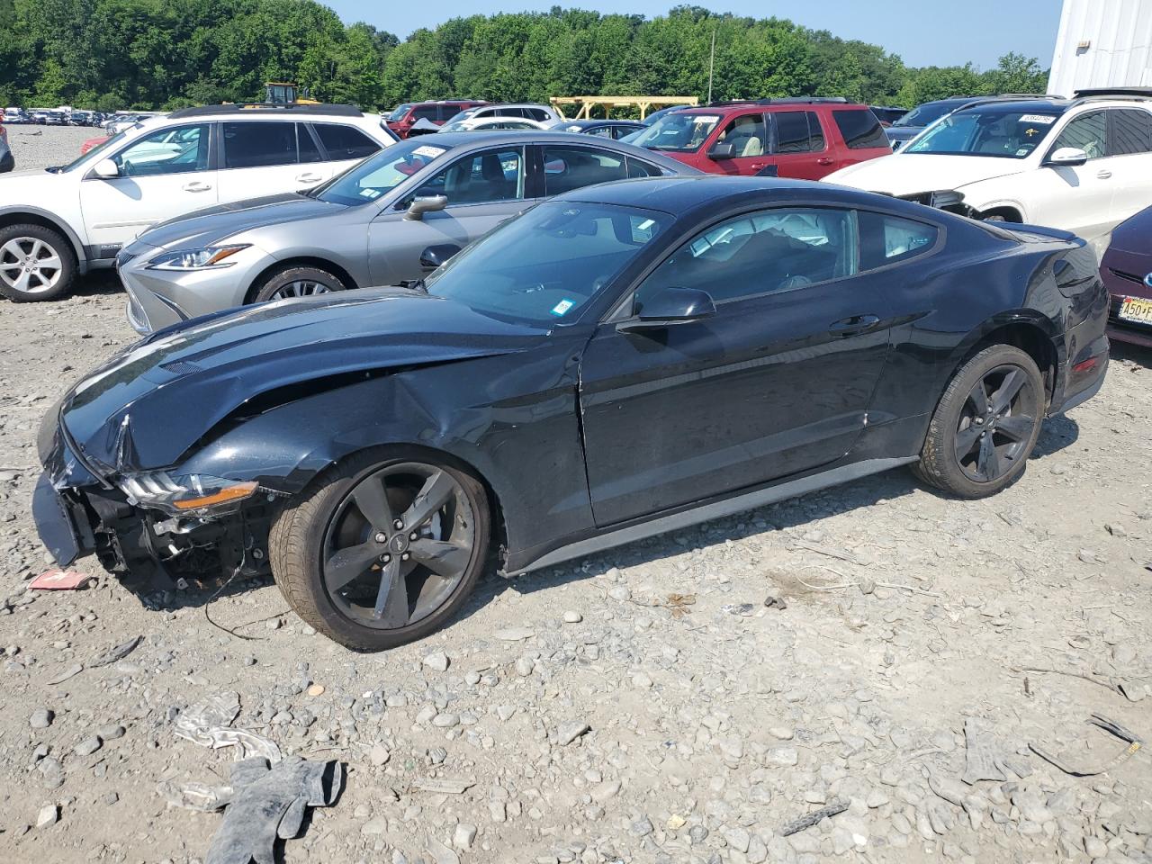 FORD MUSTANG 2021