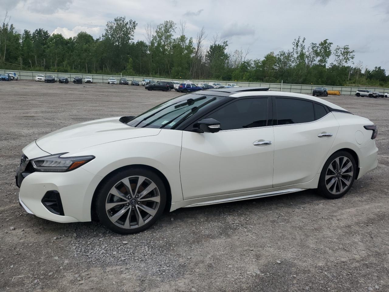 NISSAN MAXIMA PLA 2023