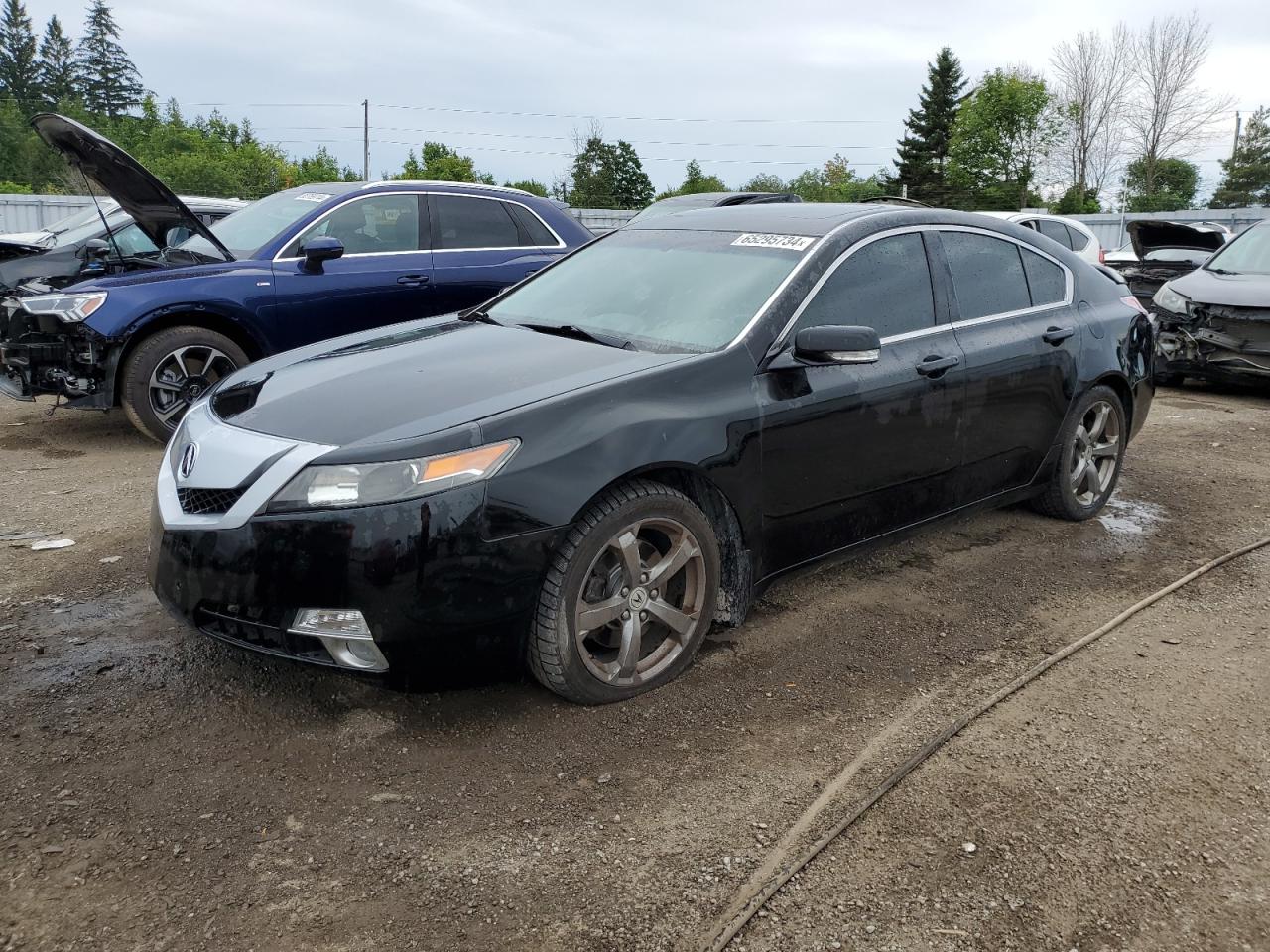 ACURA TL 2010