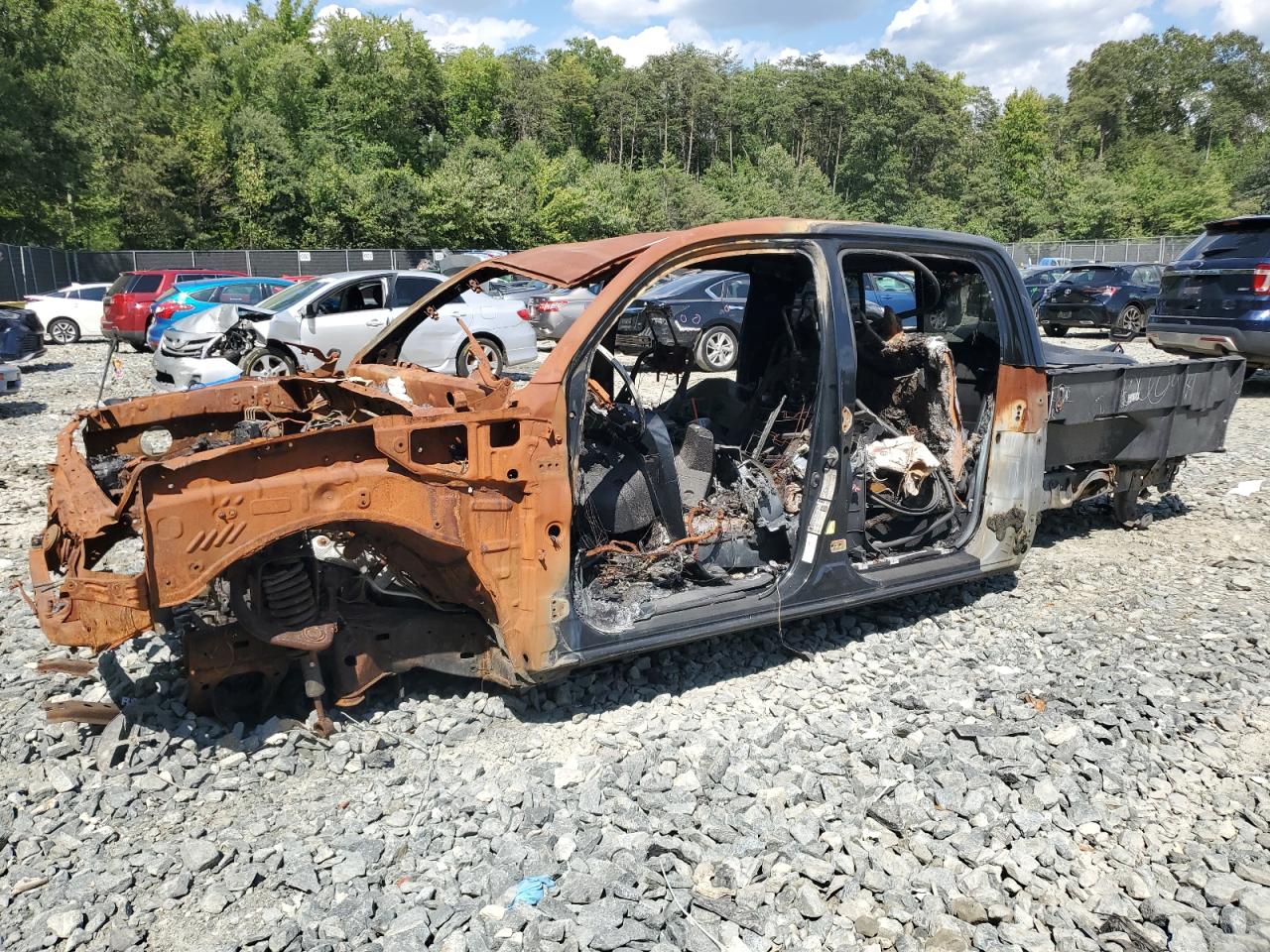 TOYOTA TACOMA 2019