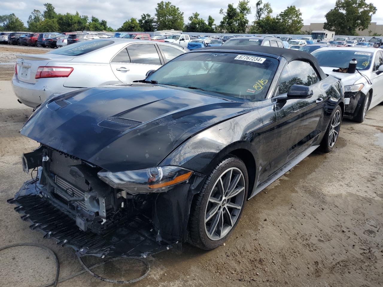 FORD MUSTANG 2019