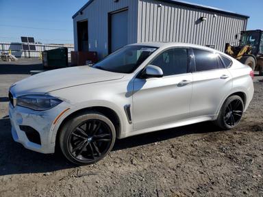 Bmw X6 M 2019
