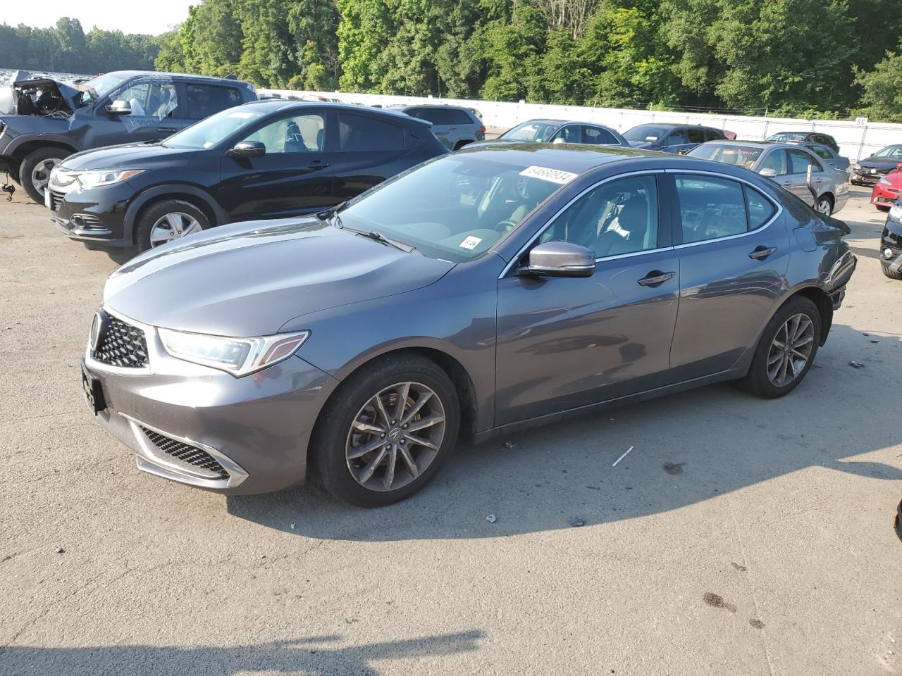 ACURA Tlx 2019