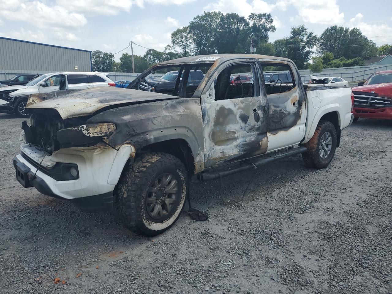 TOYOTA Tacoma Dou 2019