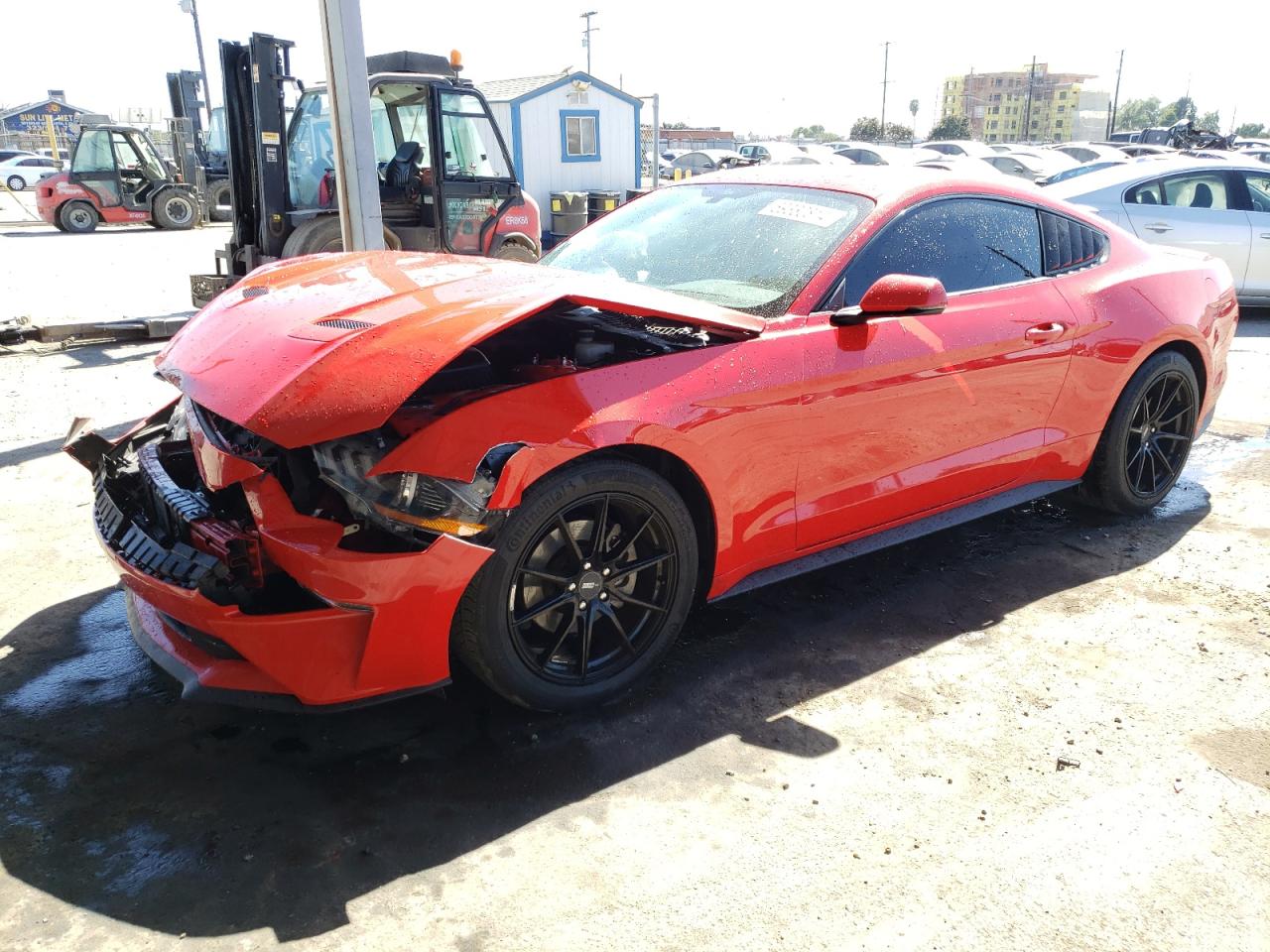 FORD MUSTANG 2019