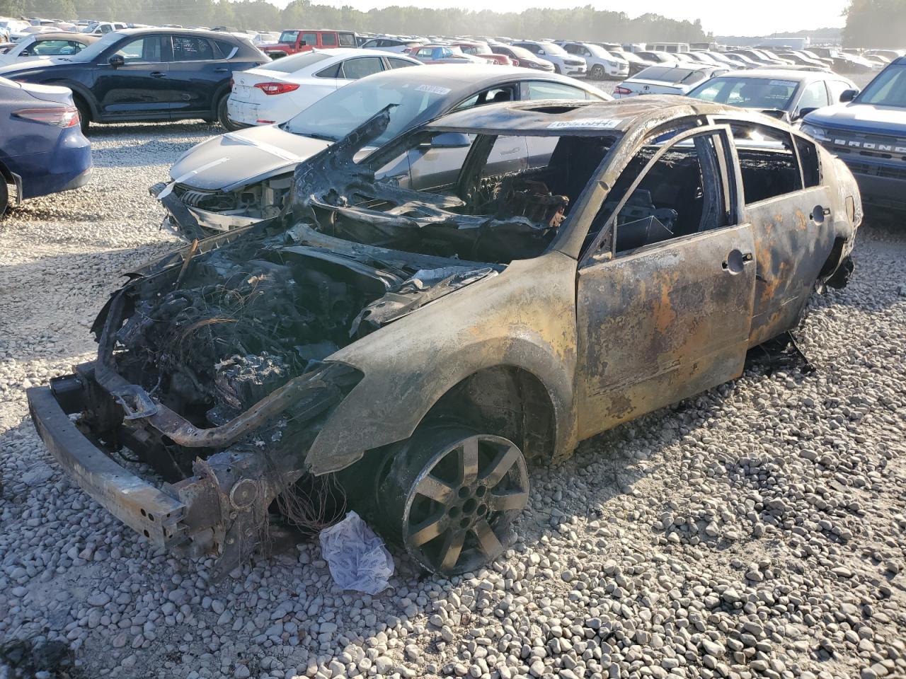NISSAN MAXIMA SE 2004