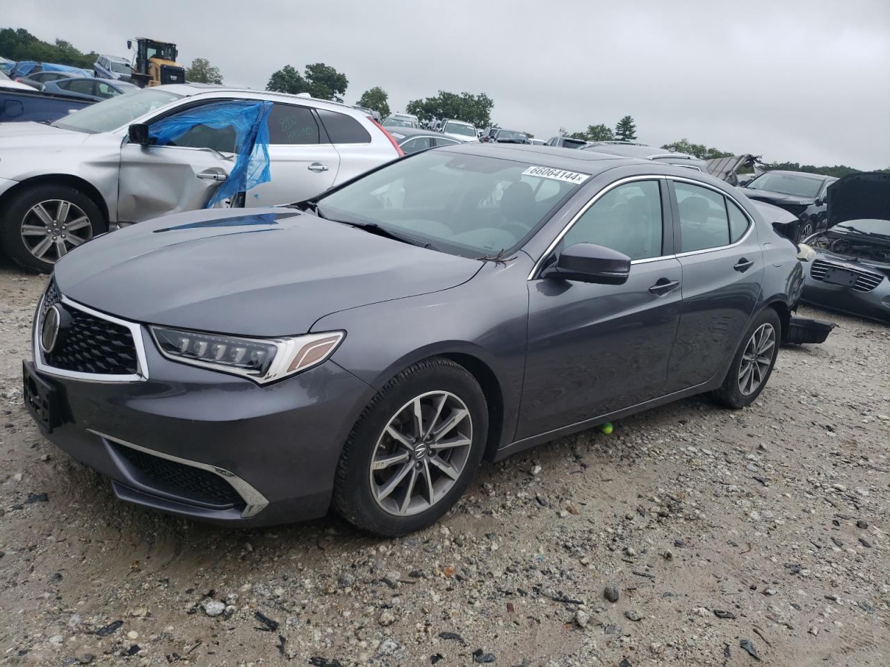ACURA TLX TECHNO 2020