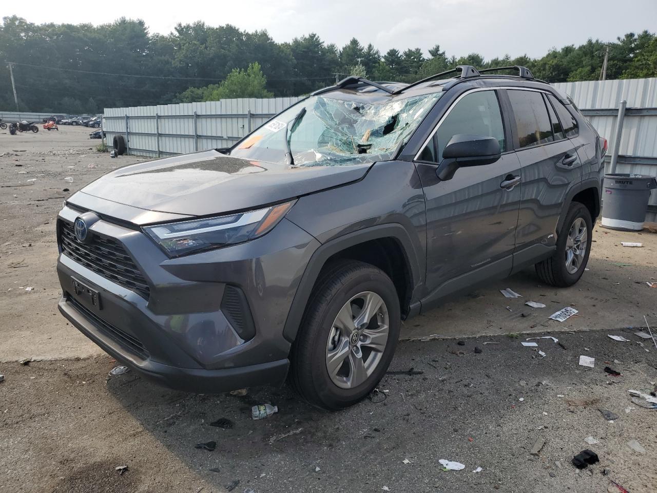 TOYOTA RAV4 LE 2024