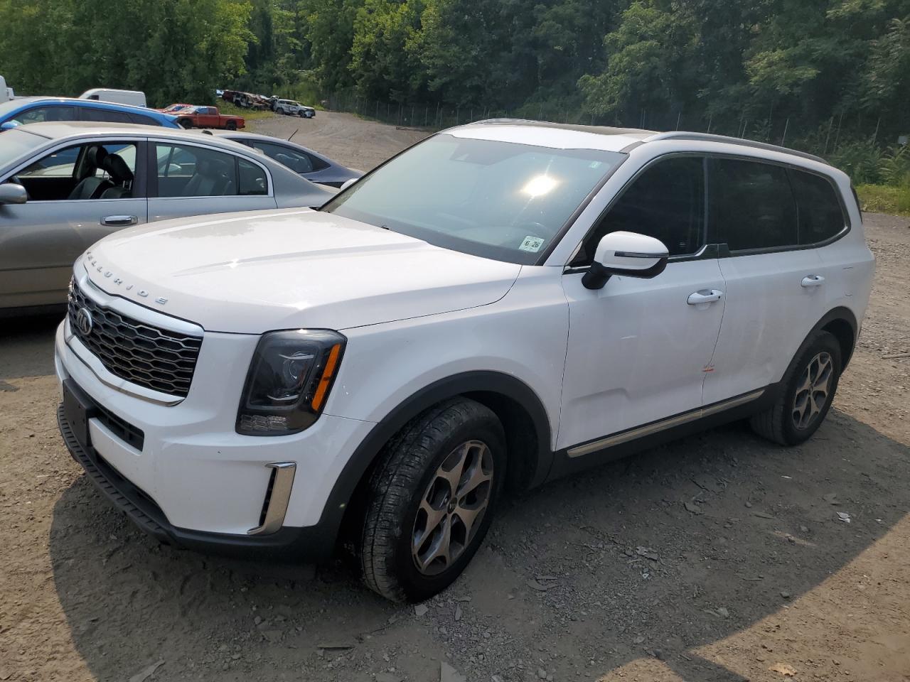 KIA TELLURIDE 2021
