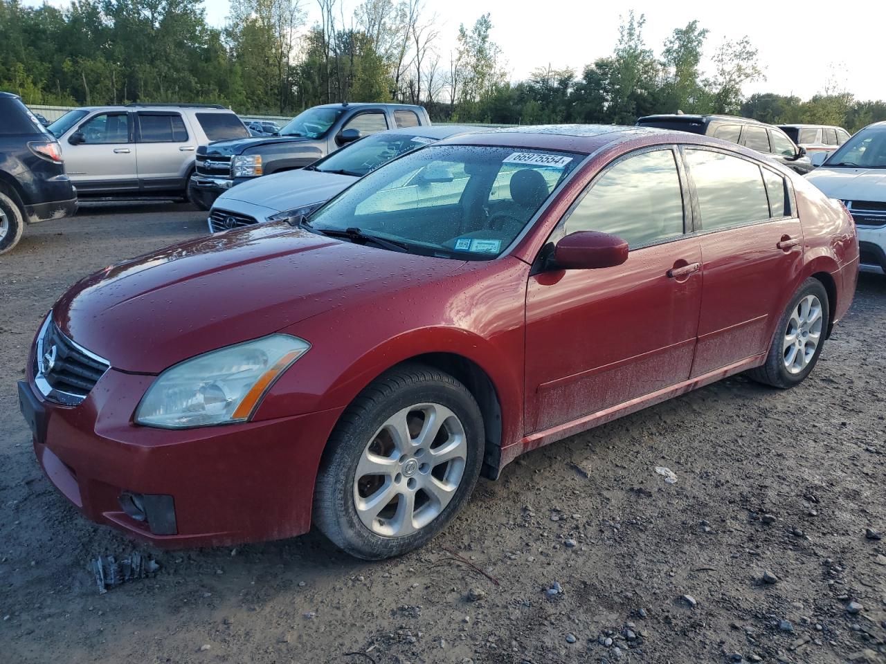 NISSAN MAXIMA SE 2007