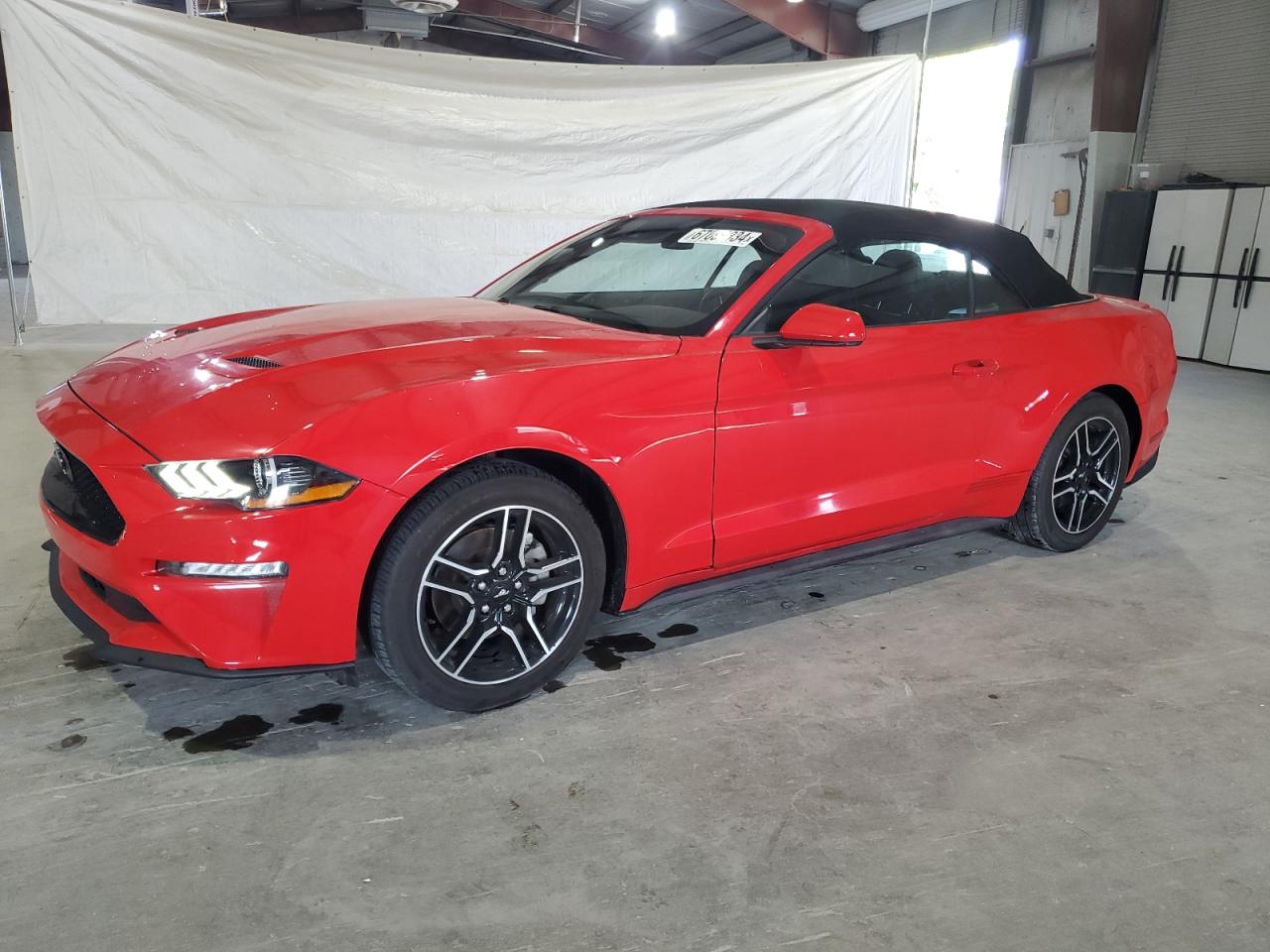 FORD MUSTANG 2022