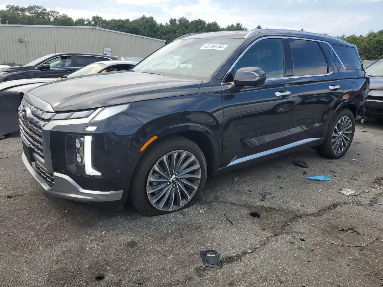 HYUNDAI PALISADE 2024
