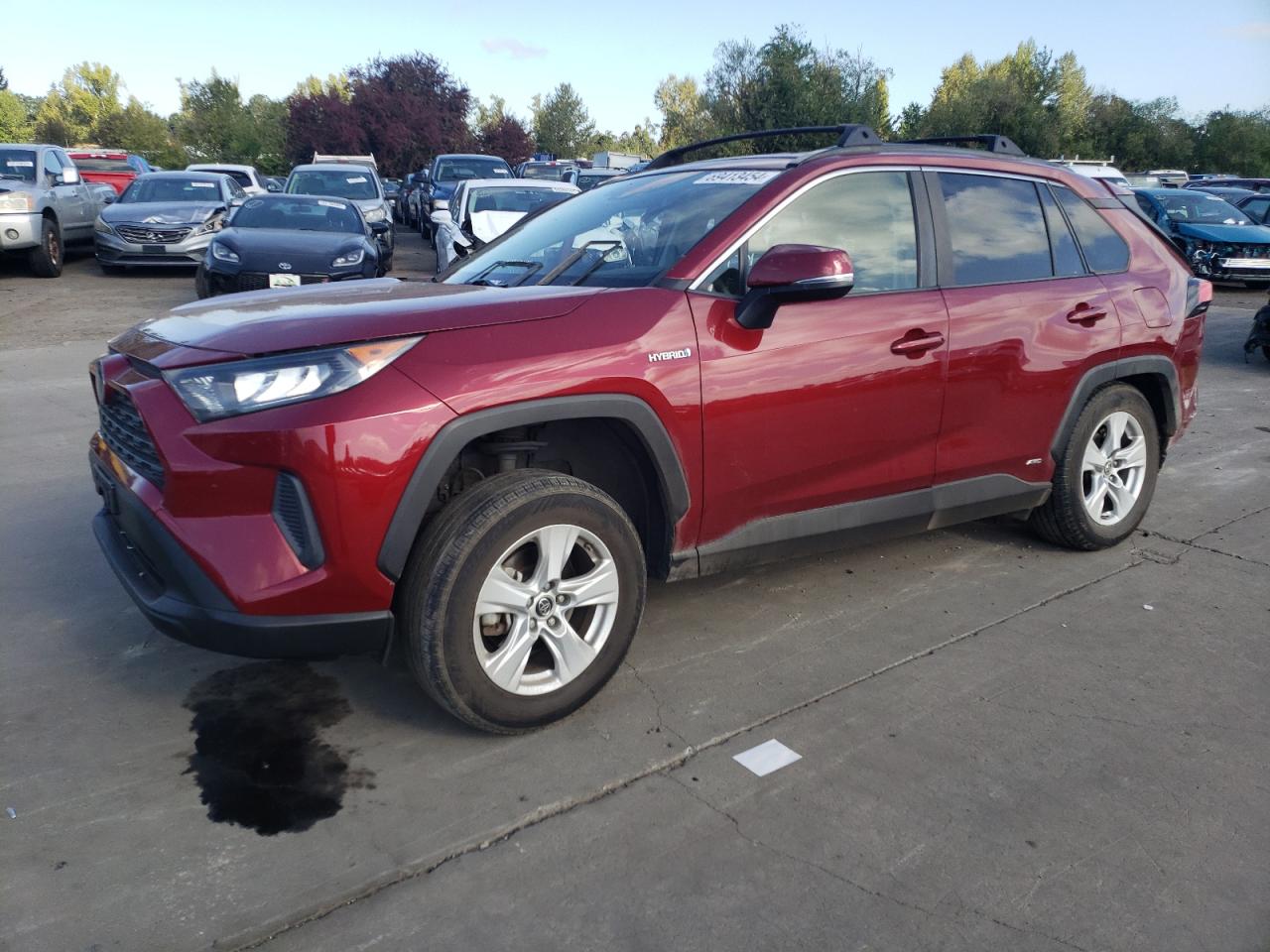 TOYOTA RAV4 LE 2019