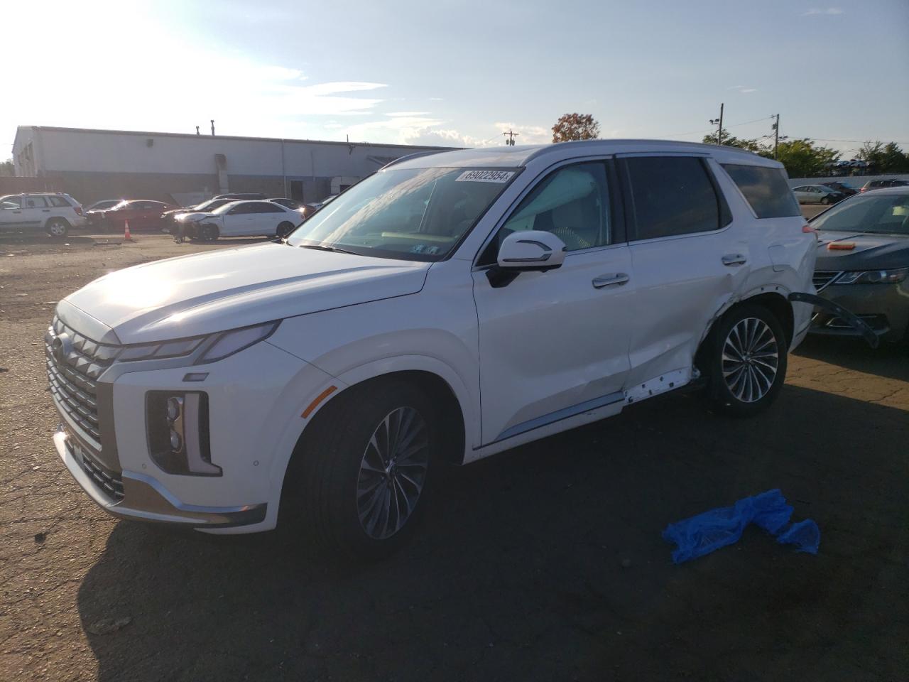 HYUNDAI PALISADE C 2024