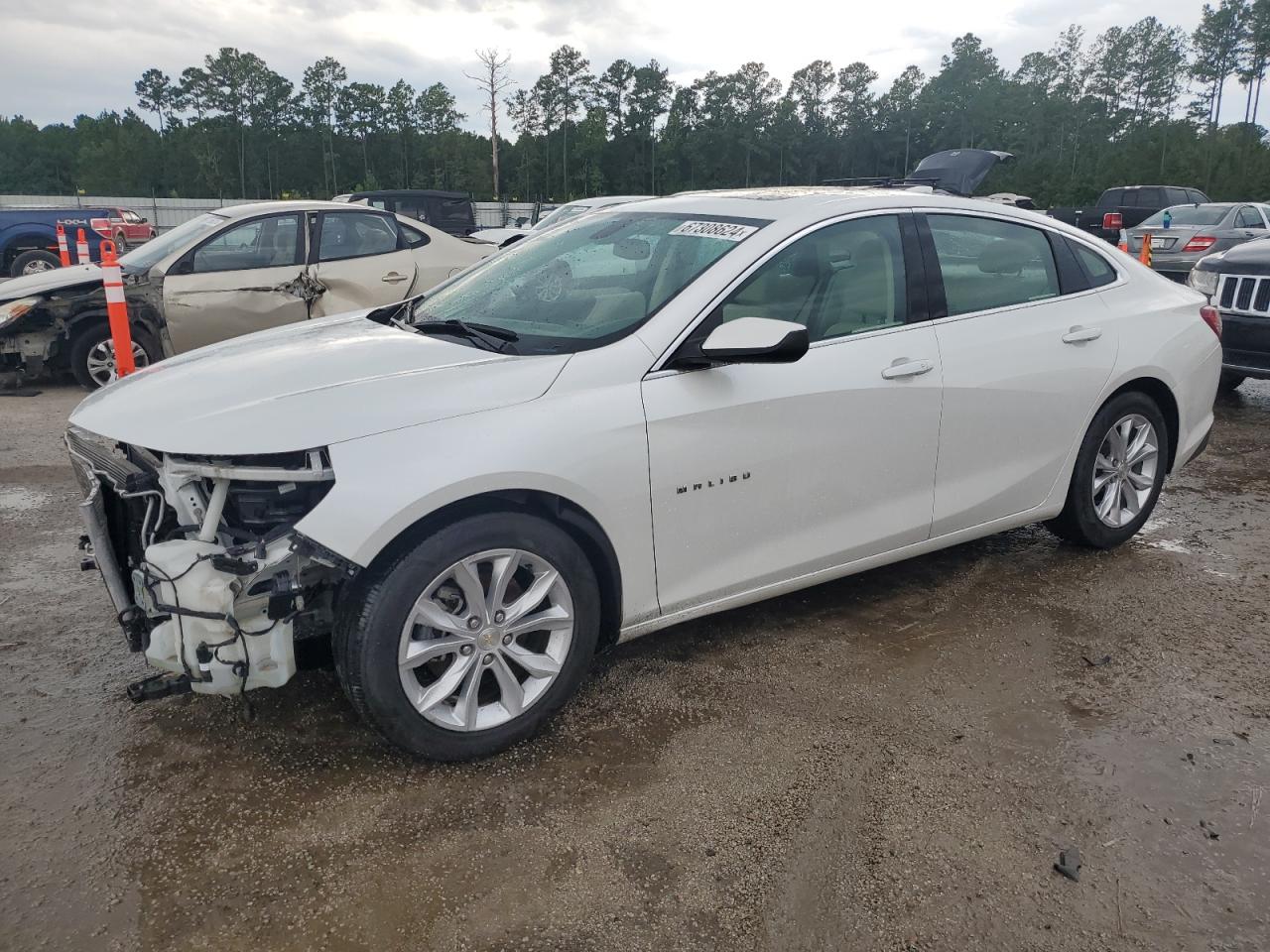 CHEVROLET MALIBU LT 2019