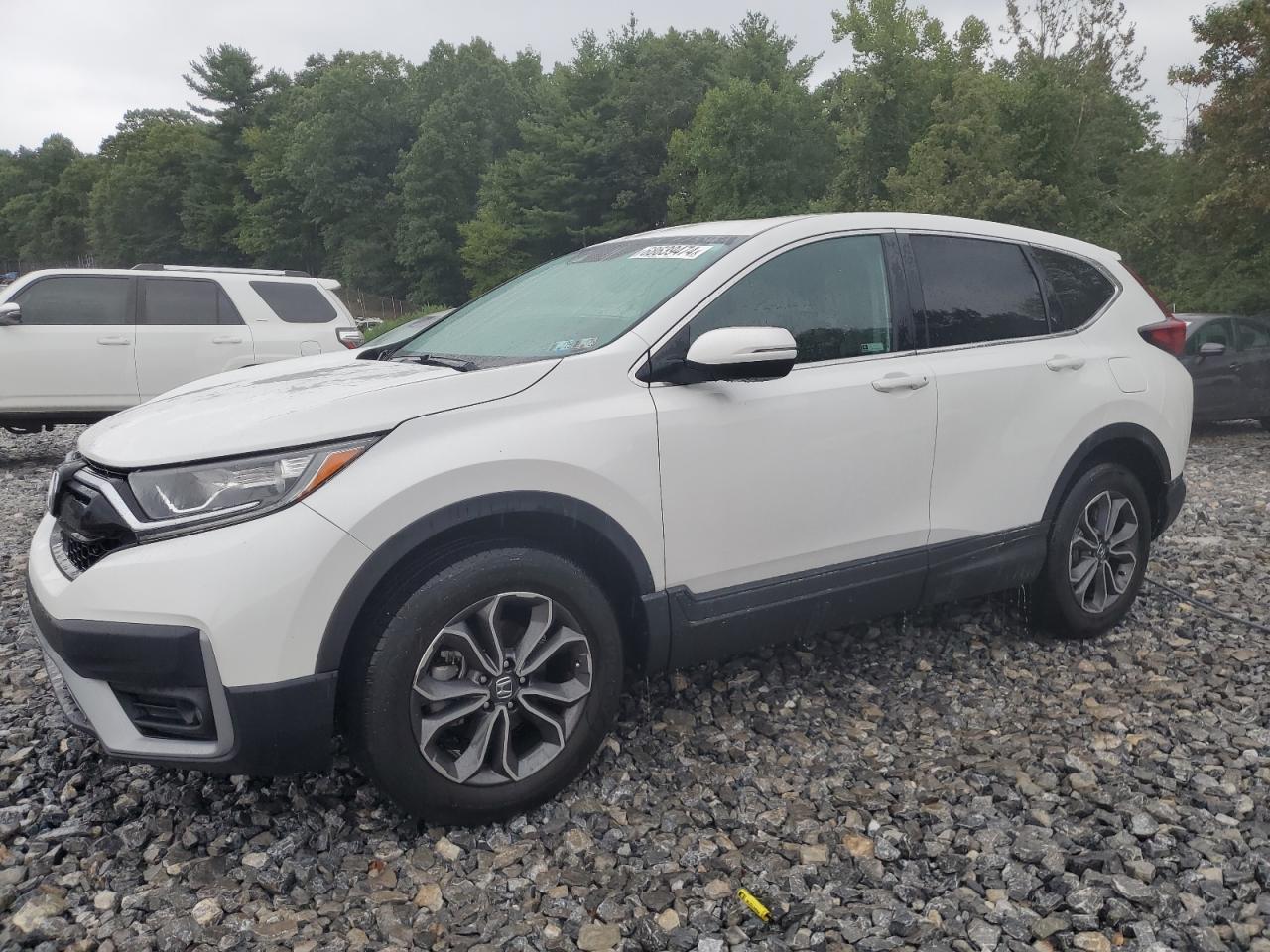 HONDA CR-V EXL 2022