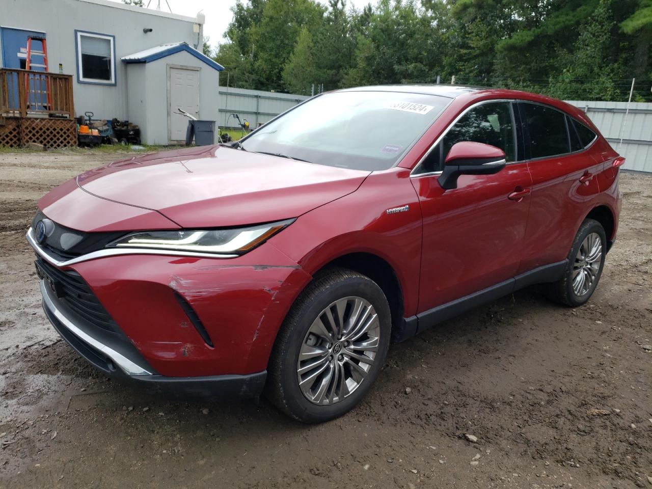 TOYOTA VENZA LE 2021