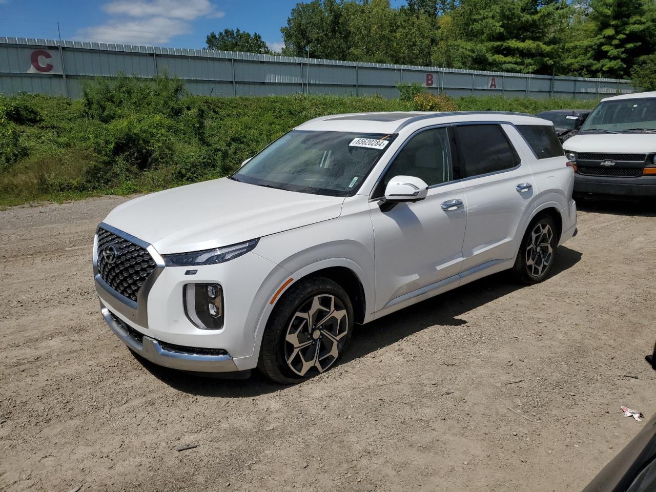 HYUNDAI PALISADE C 2021