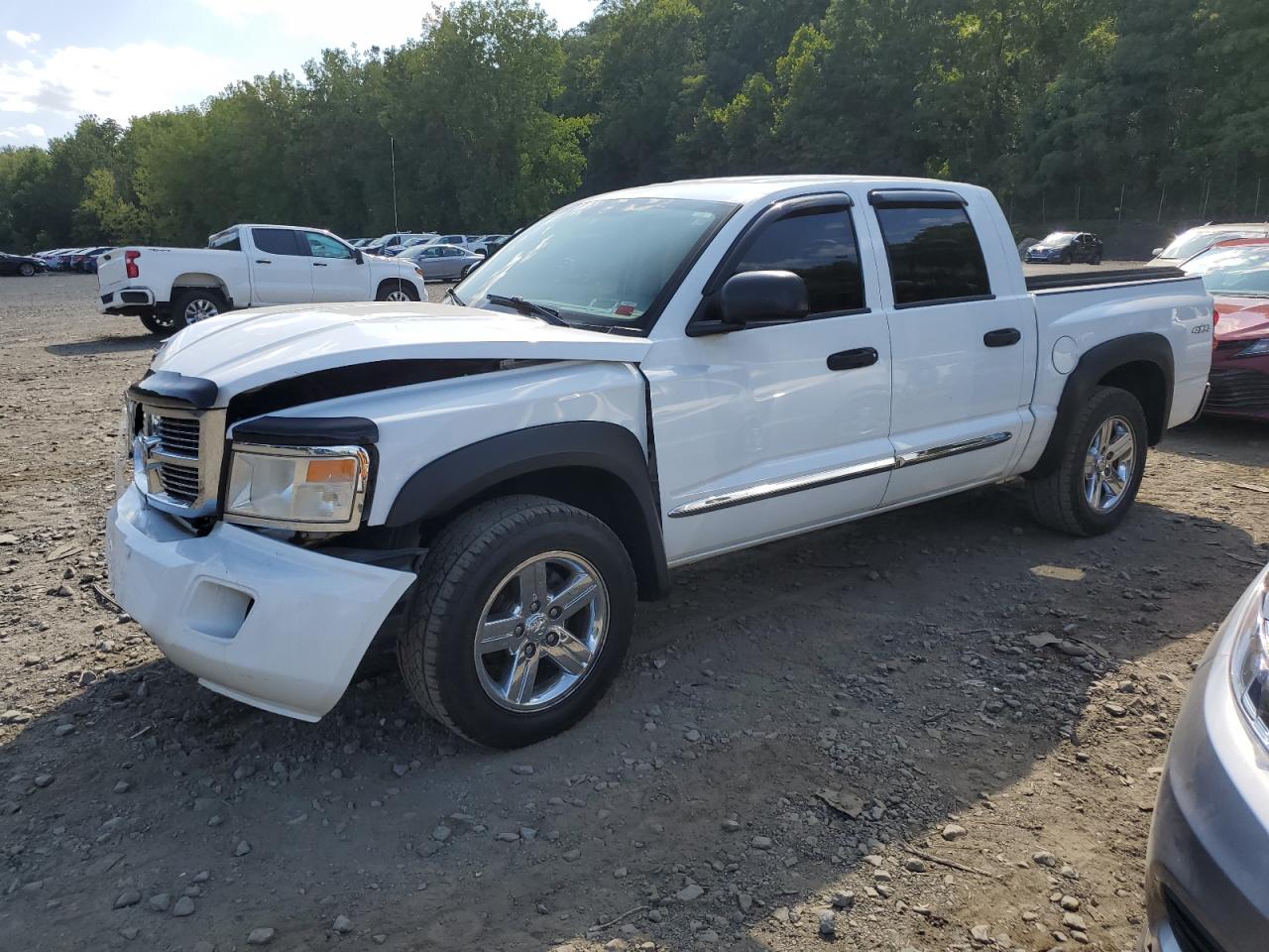 DODGE Dakota Qua 2008