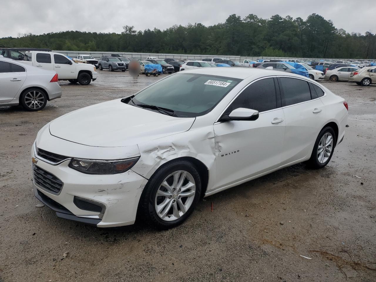 CHEVROLET MALIBU LT 2016