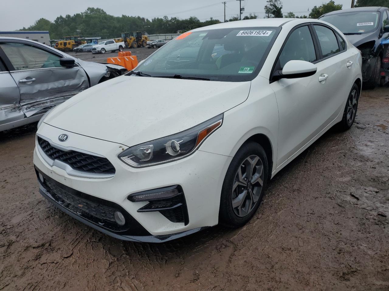 KIA FORTE FE 2019