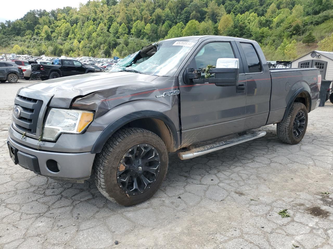 FORD F-150 2010