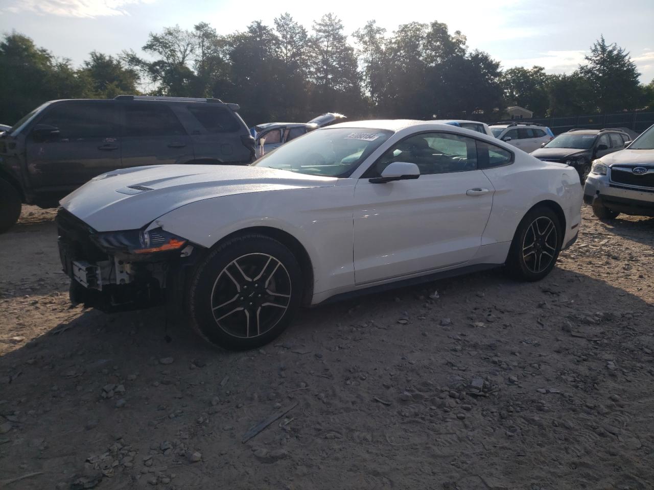 FORD MUSTANG 2018