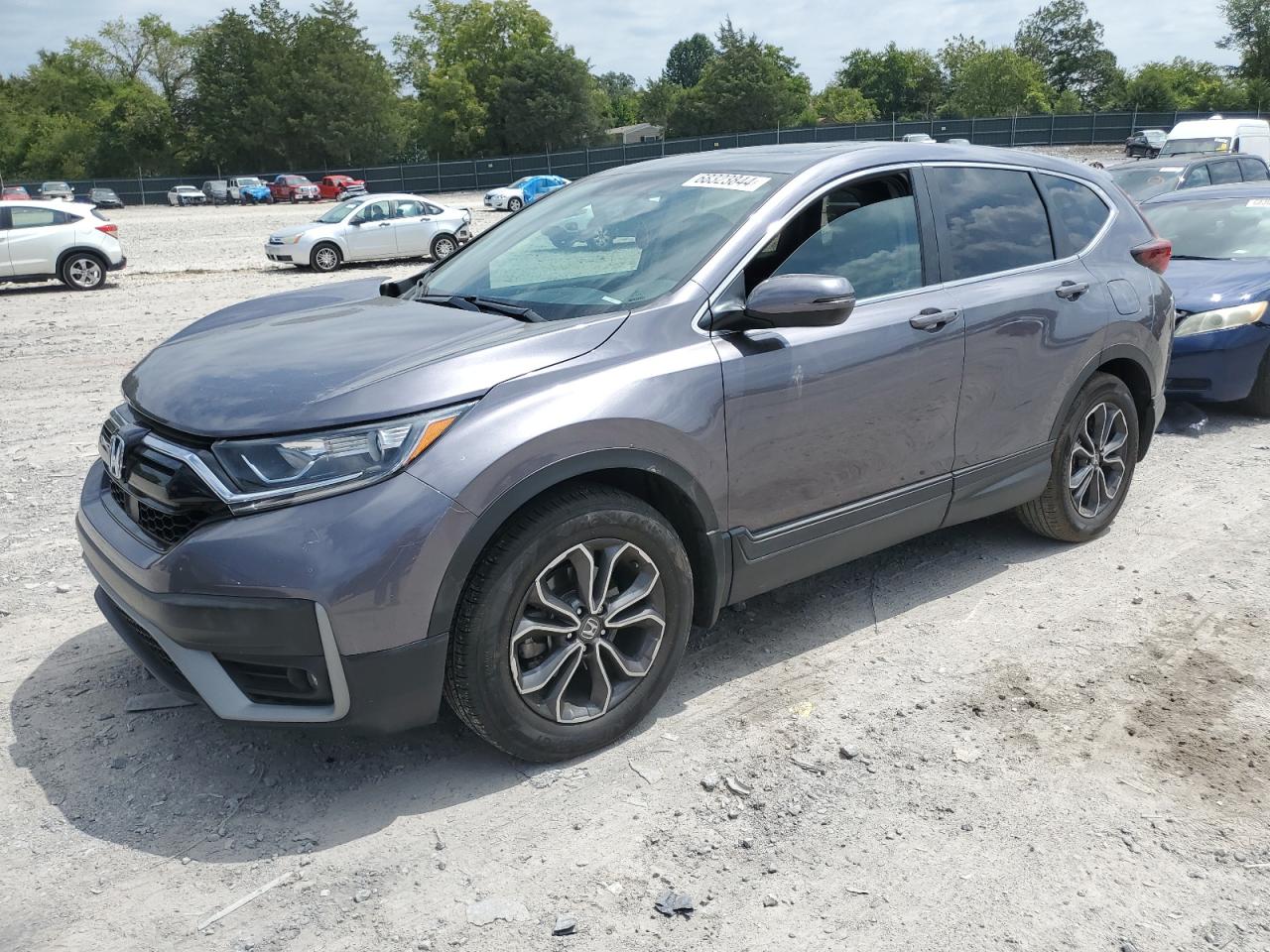 HONDA Cr-V Ex 2020