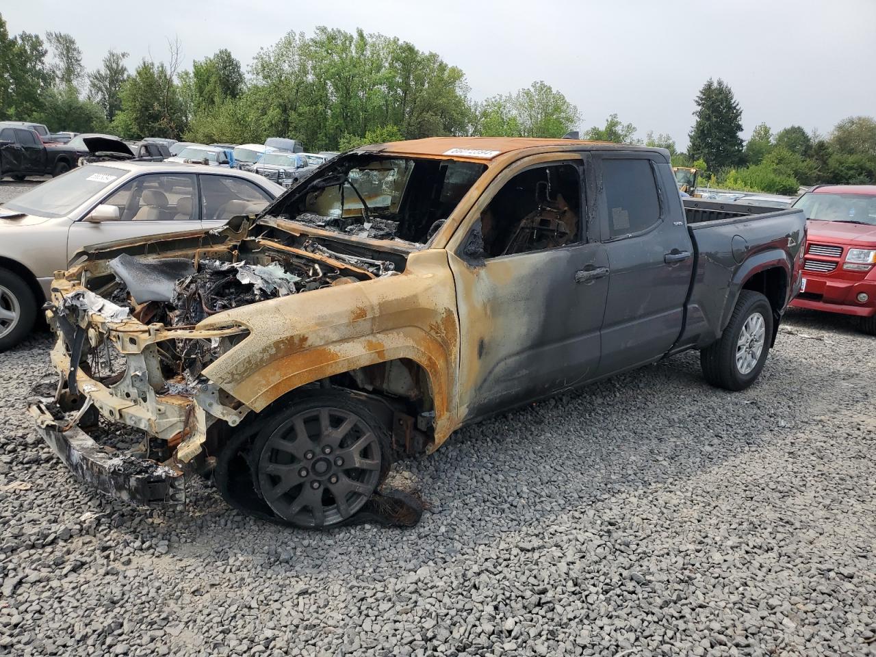 TOYOTA TACOMA DOU 2024