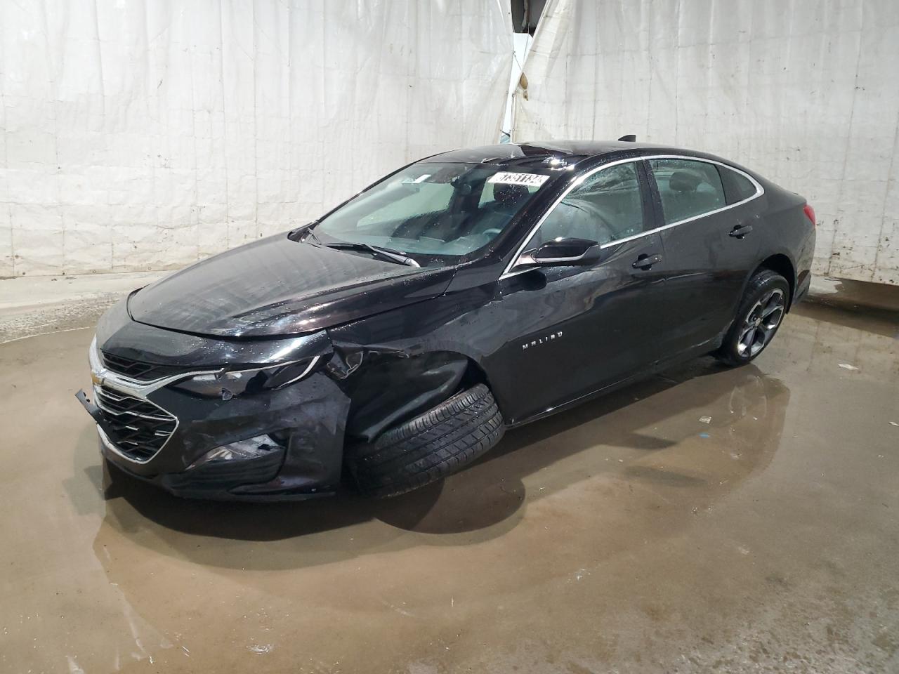 CHEVROLET MALIBU LT 2023