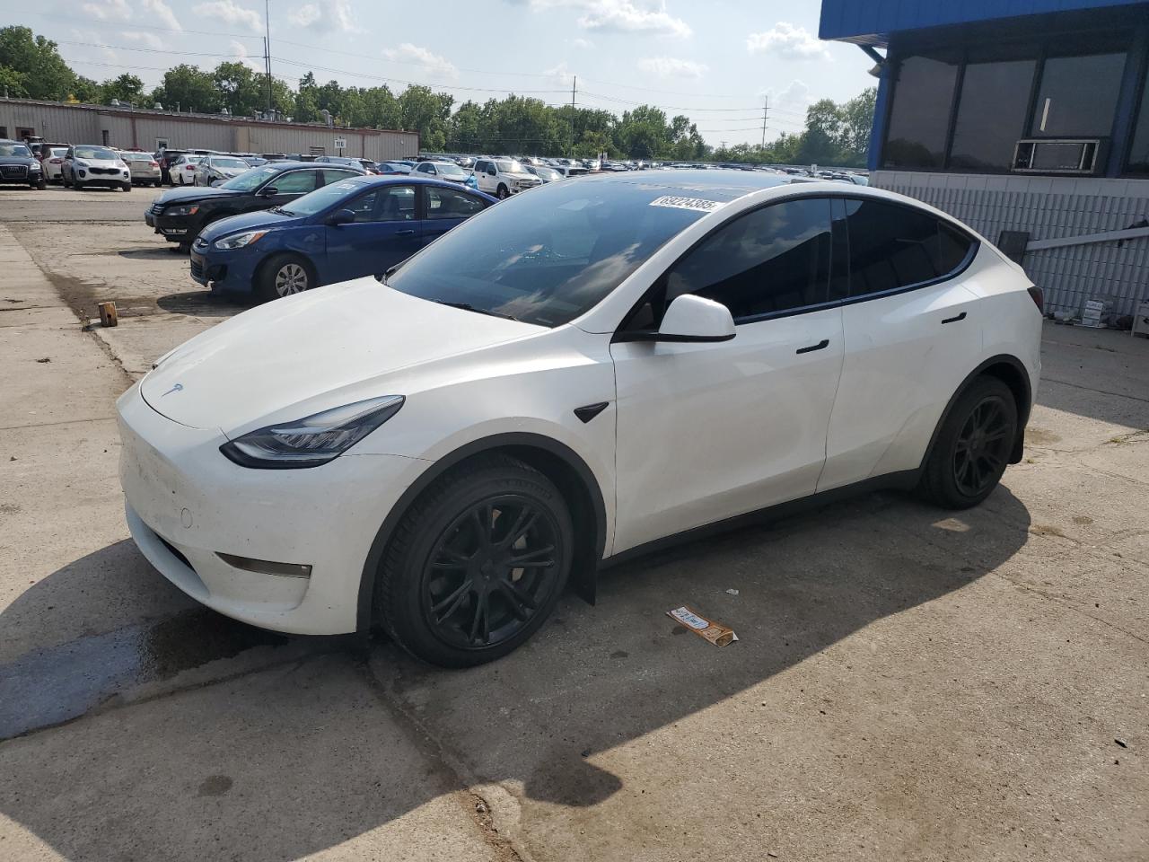 TESLA MODEL Y 2023