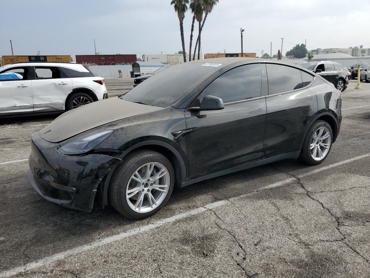 TESLA MODEL Y 2024