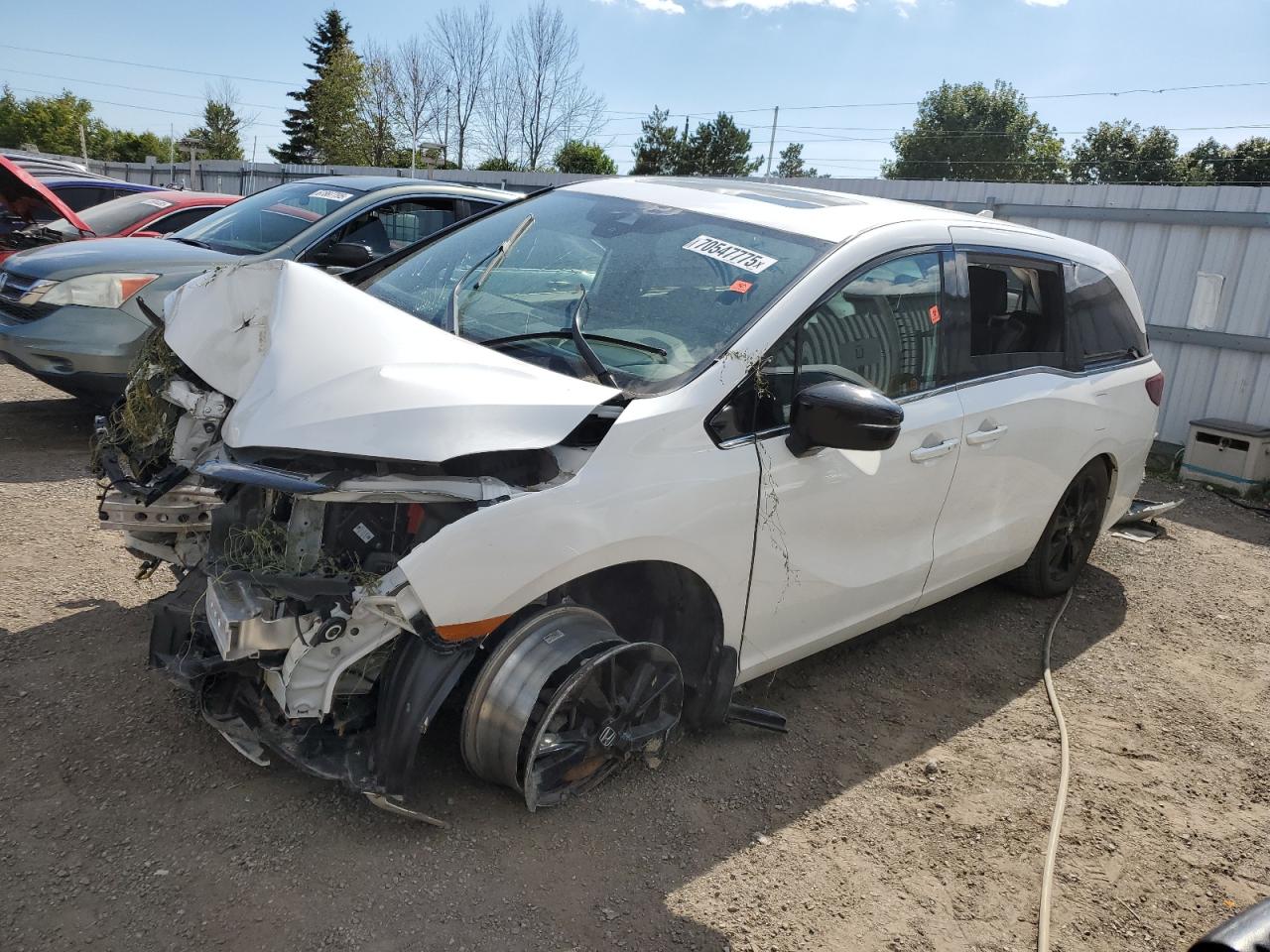 HONDA ODYSSEY BL 2023