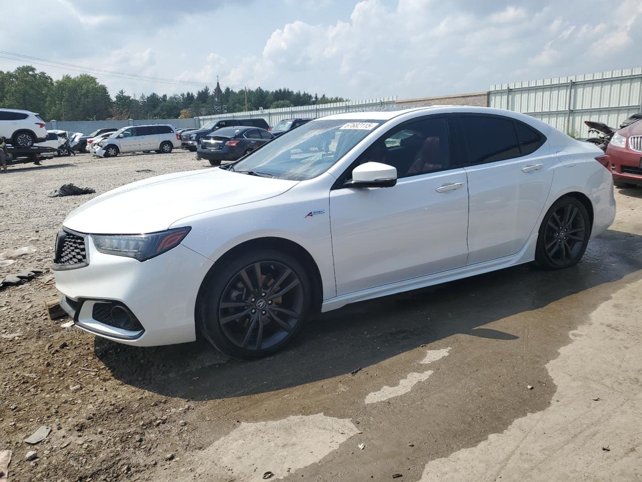 ACURA TLX ADVANC 2020