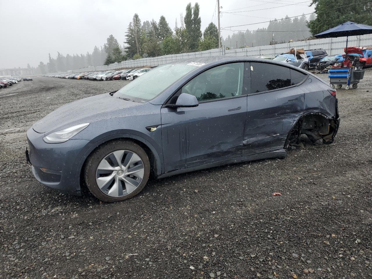TESLA MODEL Y 2020