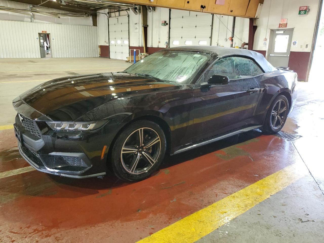 FORD MUSTANG 2024