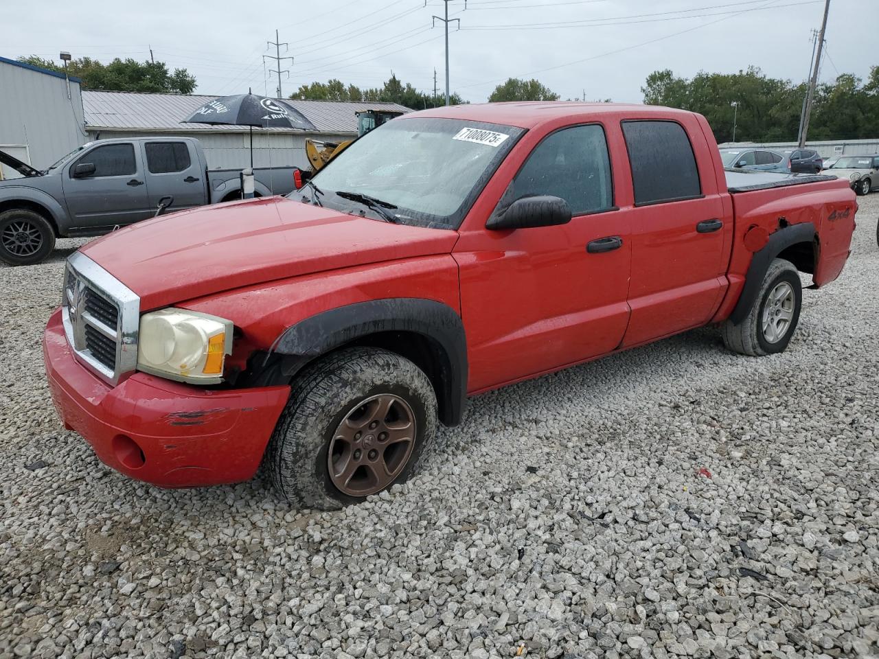 DODGE DAKOTA QUA 2006